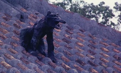 再见箱舟剧照的剧照