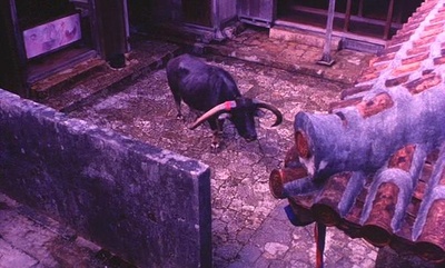 再见箱舟剧照的剧照