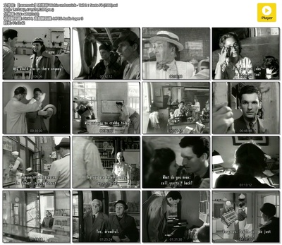 圣塔菲剧照的剧照