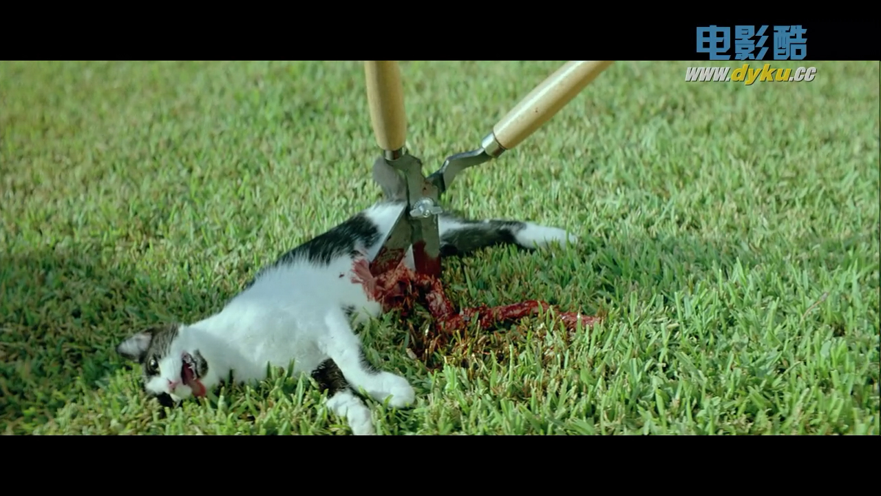 狗牙剧照的剧照