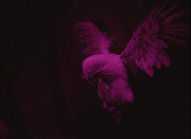 抛掉书本上街去剧照的剧照