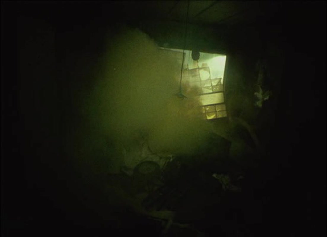 抛掉书本上街去剧照的剧照