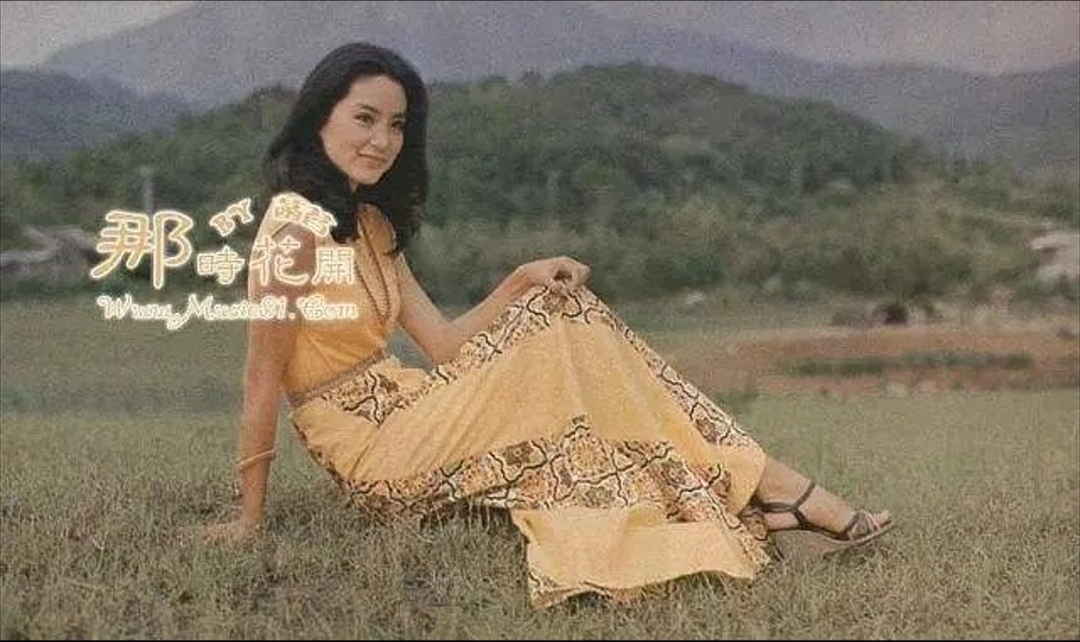 我是一沙鸥剧照的剧照