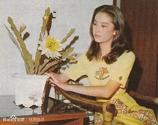 我是一沙鸥剧照的剧照