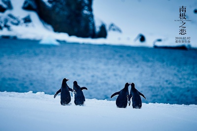 南极之恋剧照的剧照