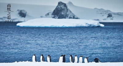 南极之恋剧照的剧照