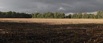 冒牌上尉剧照的剧照