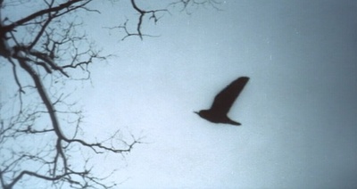 砂制时镜下的疗养院剧照的剧照