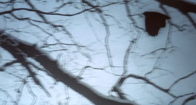 砂制时镜下的疗养院剧照的剧照