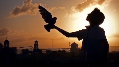 飞不起来的童年剧照的剧照