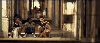 飞不起来的童年剧照的剧照