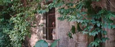 点对点剧照的剧照