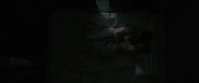 狂热郁金香剧照的剧照