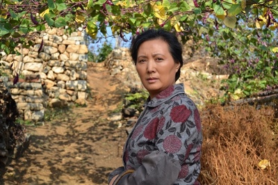 金秋喜临门剧照的剧照