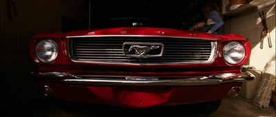 可爱的骨头剧照的剧照