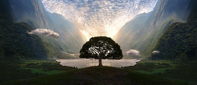 可爱的骨头剧照的剧照