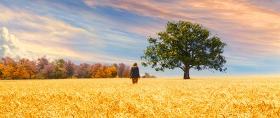 可爱的骨头剧照的剧照
