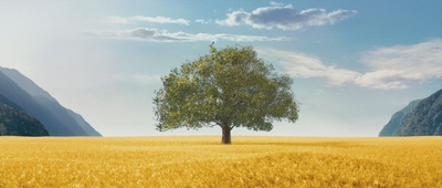 可爱的骨头剧照的剧照