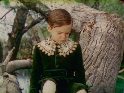 南方之歌剧照的剧照