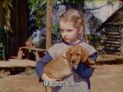 南方之歌剧照的剧照