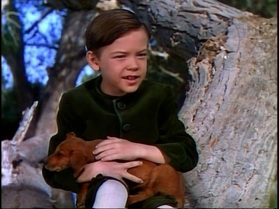 南方之歌剧照的剧照