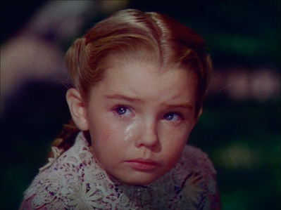 南方之歌剧照的剧照