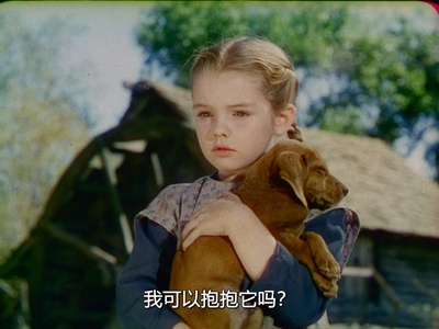 南方之歌剧照的剧照