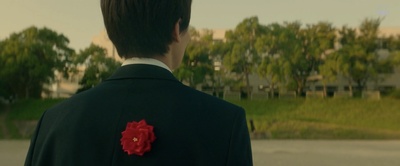 世界上最长的照片剧照的剧照