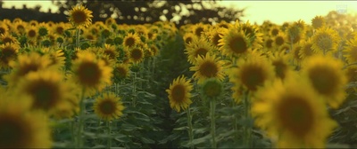 世界上最长的照片剧照的剧照