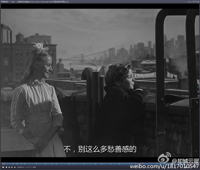 布鲁克林有棵树剧照的剧照