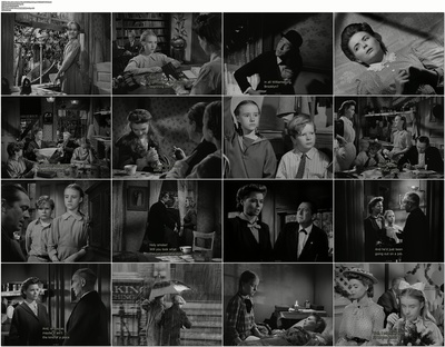 布鲁克林有棵树剧照的剧照