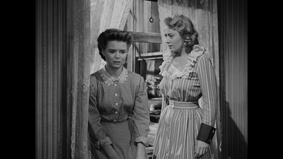 布鲁克林有棵树剧照的剧照