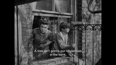 布鲁克林有棵树剧照的剧照