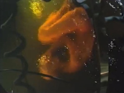 科学怪人剧照的剧照