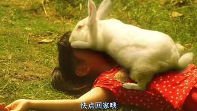 圆桌剧照的剧照