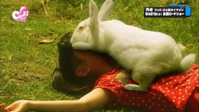 圆桌剧照的剧照