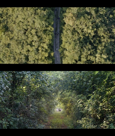 仲夏夜惊魂剧照的剧照