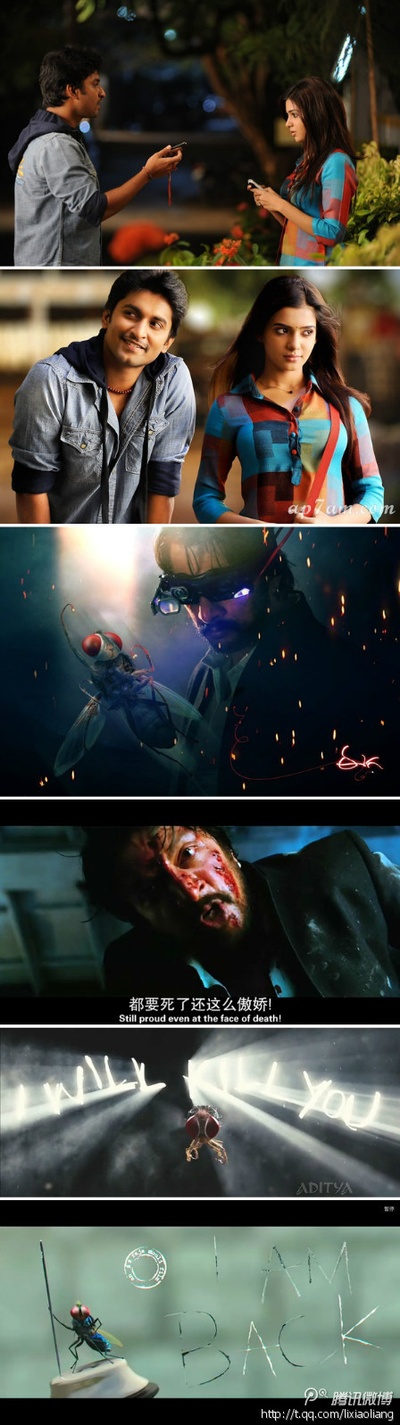 功夫小蝇剧照的剧照