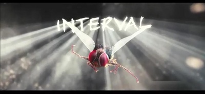 功夫小蝇剧照的剧照