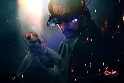 功夫小蝇剧照的剧照