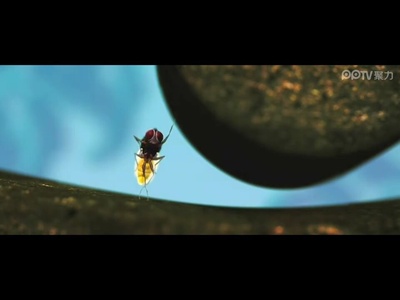 功夫小蝇剧照的剧照