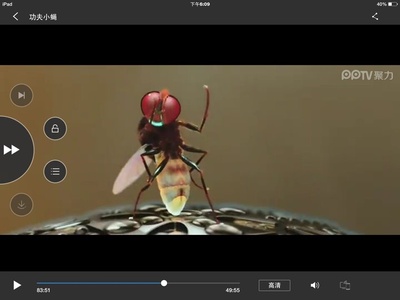 功夫小蝇剧照的剧照