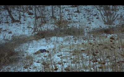 豆满江剧照的剧照