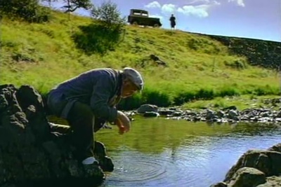 自然之子剧照的剧照