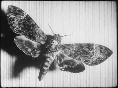 一条安达鲁狗剧照的剧照