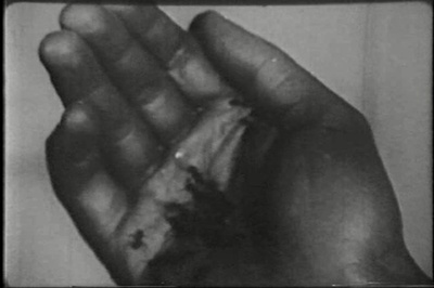 一条安达鲁狗剧照的剧照