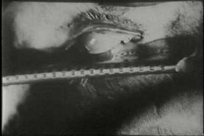 一条安达鲁狗剧照的剧照