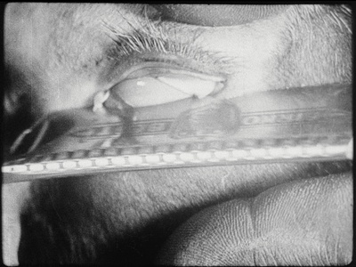 一条安达鲁狗剧照的剧照