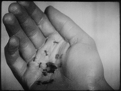 一条安达鲁狗剧照的剧照