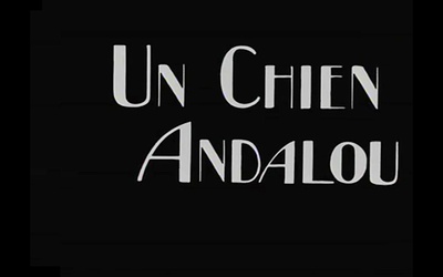 一条安达鲁狗剧照的剧照